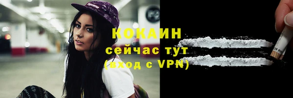 эйфоретик Арсеньев