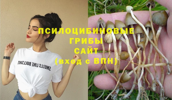 эйфоретик Арсеньев