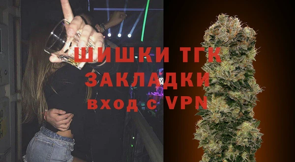 эйфоретик Арсеньев